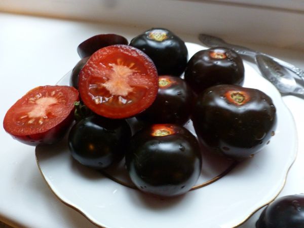 Сорта черных томатов.